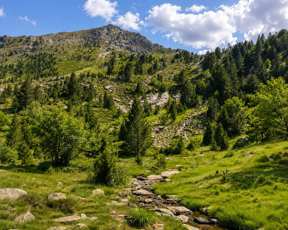 CAMINOS QUE TE ESPERAN